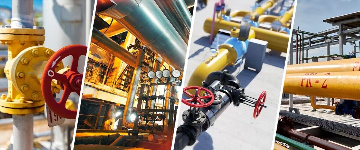 w66(中国区)最老牌官方网站