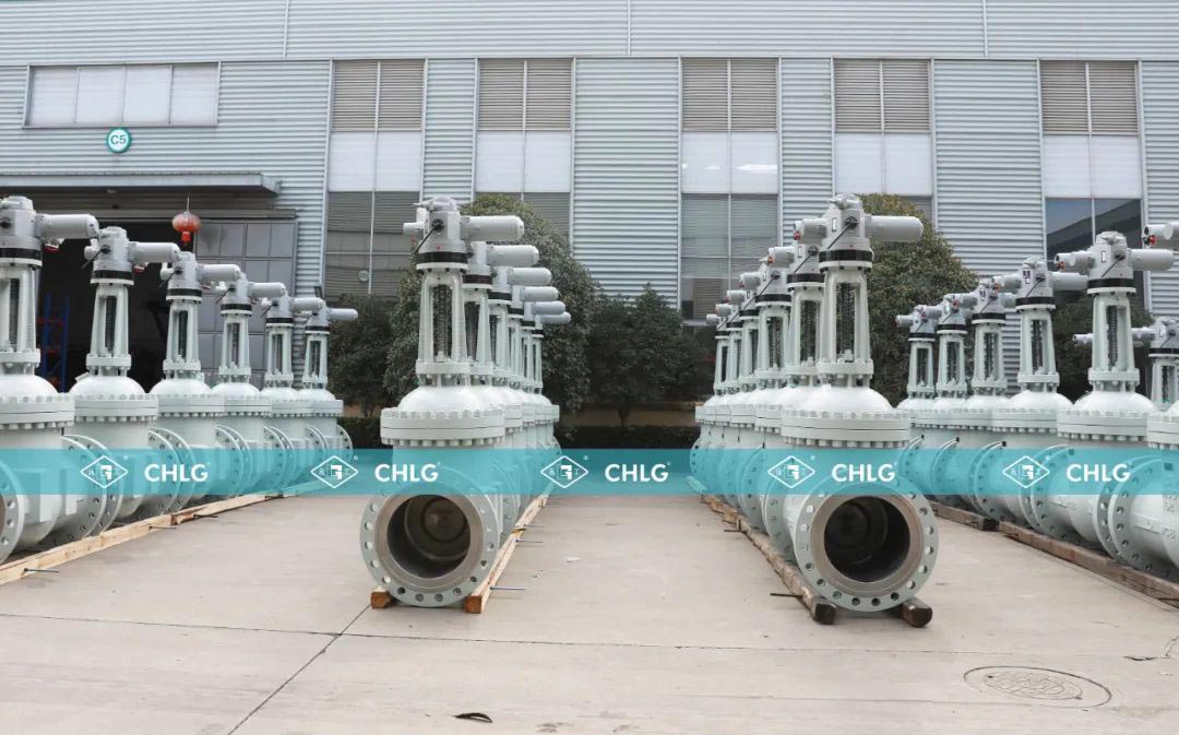 w66(中国区)最老牌官方网站