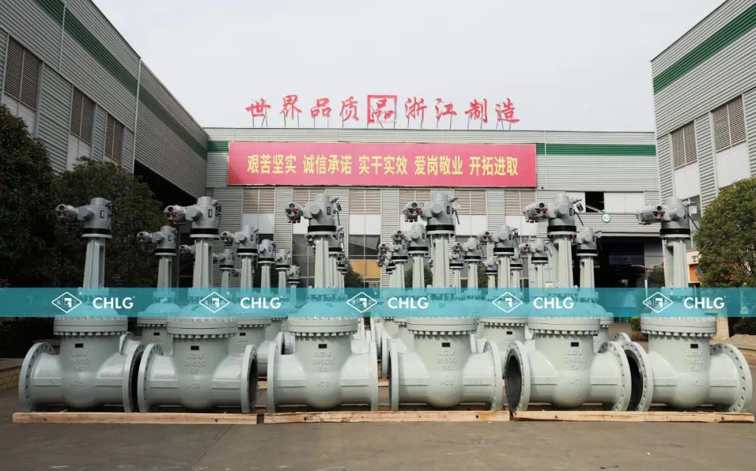 w66(中国区)最老牌官方网站