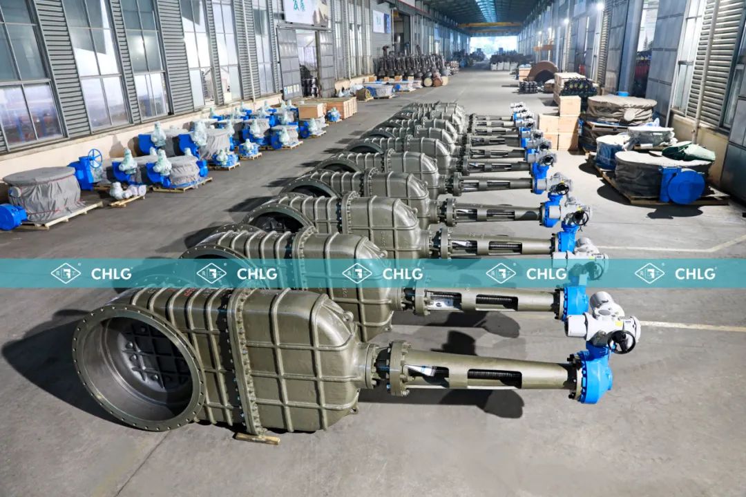 w66(中国区)最老牌官方网站