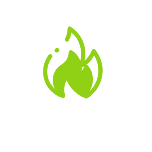 w66(中国区)最老牌官方网站