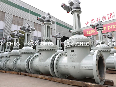 品牌的价值和使命-w66集团文化专题纪录片