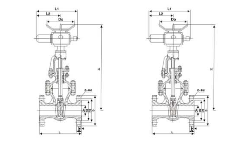 w66(中国区)最老牌官方网站
