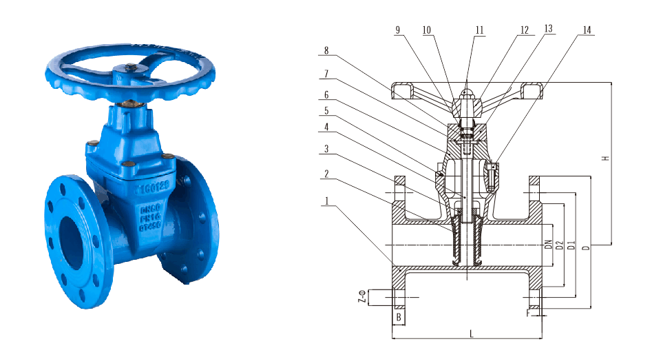 w66(中国区)最老牌官方网站